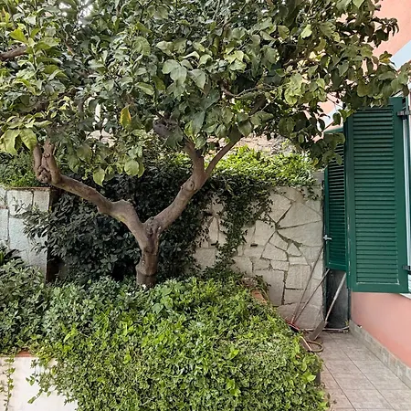 Terrazza